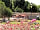 Domaine de la Bergerie: Picnic tables