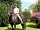 Great Trethew Manor Camping: Horse riding in the grounds