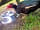 Meadow Tree Farm: Billy the duck stealing the dogs water.