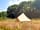 Flittermouse Copse Camping: Bell tent
