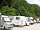 Motovun Camping: Shaded spots