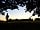 Clarefield Copse Wild Camping: Silhouette!! (photo added by  on 27/08/2020)
