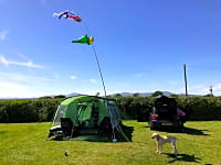 Spacious grassy pitches Spacious grassy pitches