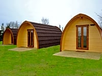 The pods The pods