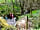Glampio Cowin: Hike down to the stream