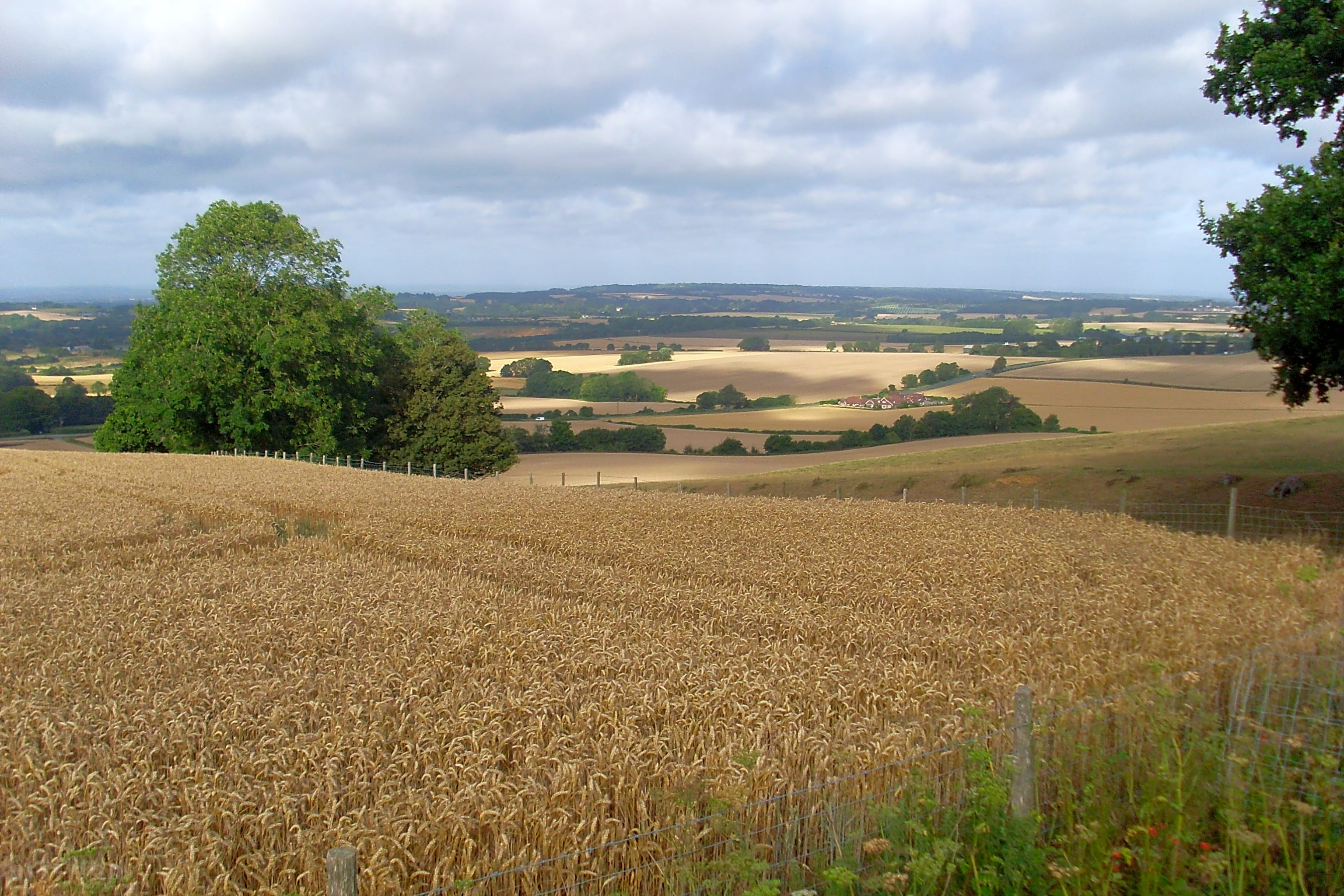 Hillcrest Farm Wild Camping, Charing - Updated 2019 prices ...