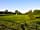 Walnut Tree Farm: Lots and lots of space