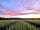 Chettle Campsite