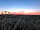 Treetops Farm Holidays: Sundown at Treetops Farm Holidays
