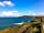 Cardigan Island Coastal Farm Park: Spectacular views