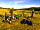 Bignor Farms Camping at Bignor Roman Villa: Setting up camp! (photo added by byron_s287397 on 18/08/2020)