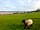 Low Fell Gate Farm Campsite