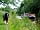 Hamstead Huts: Horse-drawn barge operating from Kintbury (photo added by manager on 25/05/2022)