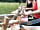 Golden Hill Wood: Workshops (photo added by manager on 01/08/2023)