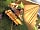 Greenacres Glamping