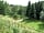 Lincomb Lock Caravan Park: The meadow and wildlife pond (photo added by manager on 17/05/2016)