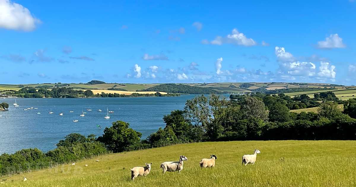 Woodhouse Farm, Kingsbridge Updated 2024 prices