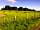 Law Farm Campsite: Surrounding farmland