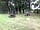 Bluebell Meadow Campsite
