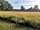 South Town Farm: Campsite