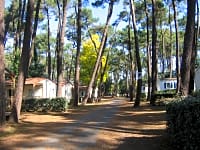 Parcel·la sobre terra forestal sense electricitat