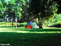 Parcel·la de gespa i terra dur amb electricitat opcional per a tenda de campanya o per a remolc tenda