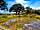 Milkmaid Meadow Campsite: Pond view