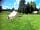 Cricket Field Campsite: Spacious pitches