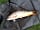 Colemans Cottage Fishery: Fishing