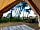 Woodcock Farm: View out of the tent