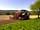 Bignor Farms Camping at Bignor Roman Villa: A 2000-acre farm (photo added by manager on 27/07/2020)