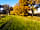 Mowbray Meadow: Camping pitch (photo added by manager on 11/01/2022)