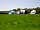 Westland Farm: Tents
