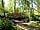 Blackberry Wood Campsite: The childrens play area