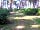 Holmans Woods