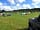 Holyrood Farm Campsite: Looking up towards the entrance