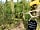 Roe Deer Fields: On-site nature trail walk