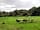 Bodmin Moor Camping: Campfires welcome