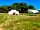 Dorset Glamping Fields (photo ajoutée par le gestionnaire le 18 juil. 2022)