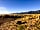 The High Desert Ranch: Tent pitches