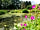 Kingfisher Meadow Camping and Caravanning Park