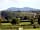 Wolferlow Wigwams: View over to the Malvern Hills
