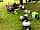 Chippers Field: Guests on site