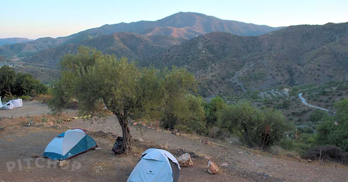 Olive Branch El Chorro, El Chorro