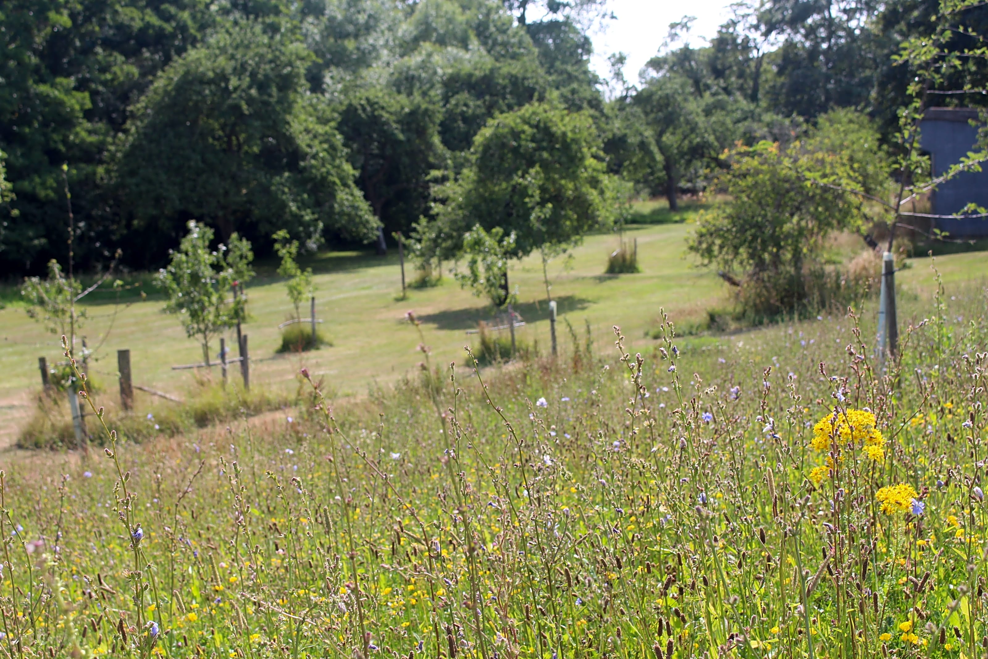 Bredy Farm, Bridport Updated 2020 prices Pitchup®