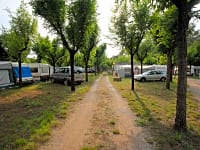 Large spacious pitches supplied with 5-amp electricity Large spacious pitches supplied with 5-amp electricity