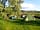 Mains Farm Camping and Caravan Site: Grass tent pitches in the apple orchard (photo added by manager)