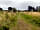 Farndon Tent Camping Meadow