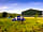 Duncombe Farm: Camping field (photo added by manager on 29/05/2020)