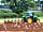 Glamping Thorpe: Farming on site